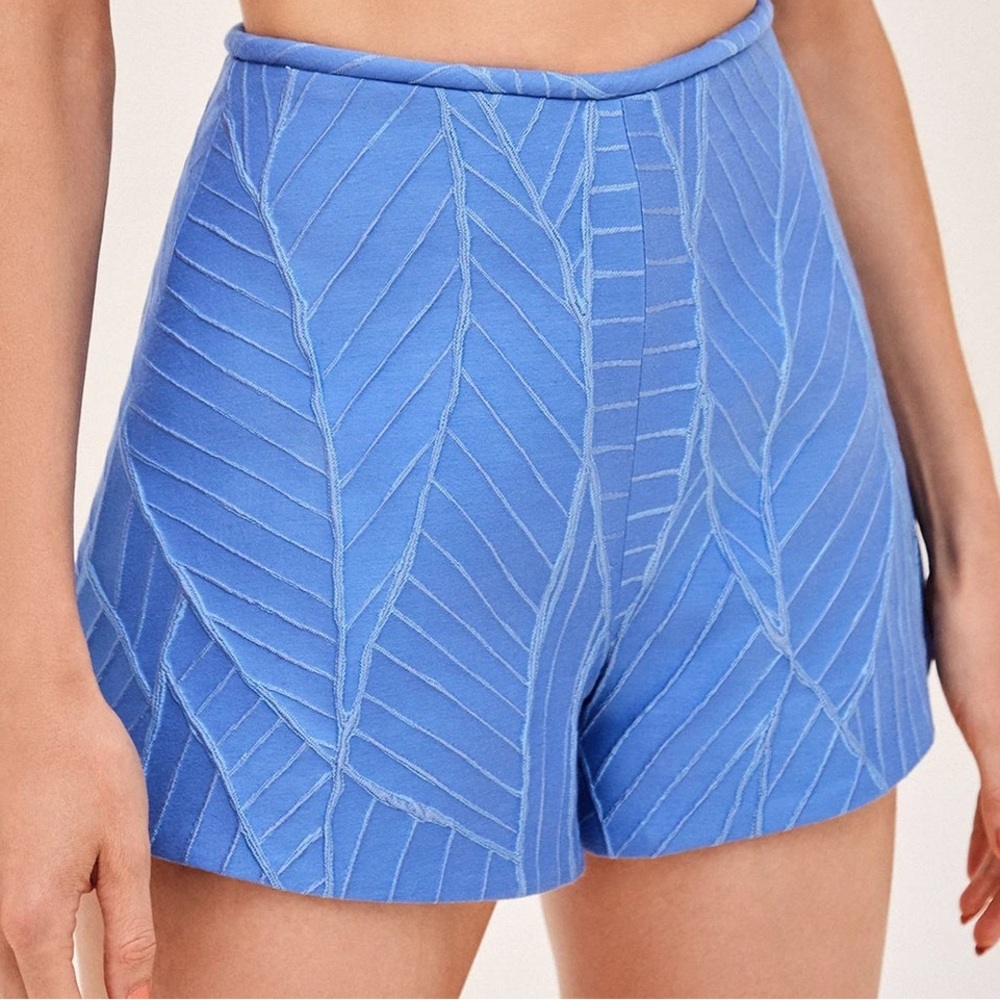 NWT Alexis high waisted textured shorts